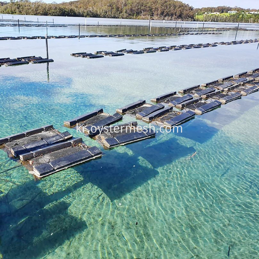 거품 굴 떠 다니는 케이지 Foam Oyster Floating Cages